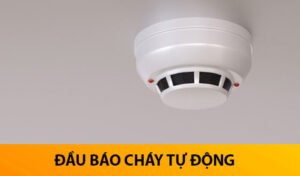 Đầu báo cháy tự động